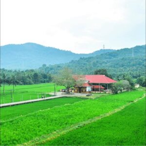 ശ്രീ രുധിരമഹാകാളികാവ് പൂരം; വെടിക്കെട്ടിന് അനുമതി