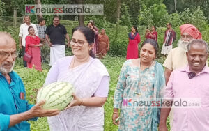 water melon