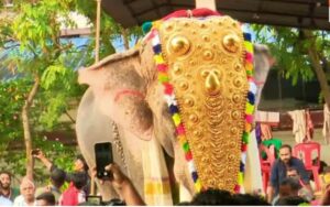 ഗജരാജന്‍ തെച്ചിക്കോട്ടുകാവ് രാമചന്ദ്രന്‍ തിടമ്പേറ്റി,പുതുചരിത്രമായി ചെമ്പൂക്കാവ് ഭഗവതിയുടെ എഴുന്നള്ളിപ്പ്