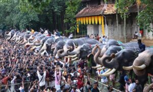 അമ്പലവട്ടത്ത് അഴകായി ആനകള്‍,നിര്‍വൃതിയുടെ നിറവില്‍ ആയിരങ്ങള്‍