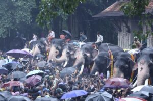 വടക്കുന്നാഥനില്‍ കര്‍ക്കിടക മഴയില്‍നനഞ്ഞ് 'കരിനിര ' ആനയൂട്ട് കണ്ട് മനം നിറഞ്ഞ് ആയിരങ്ങള്‍
