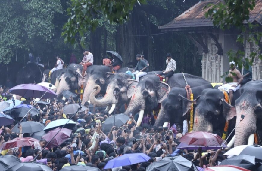 വടക്കുന്നാഥനില്‍ കര്‍ക്കിടക മഴയില്‍നനഞ്ഞ്&hellip;