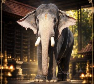 ഇടിമിന്നലേറ്റ ആന ചരിഞ്ഞു.