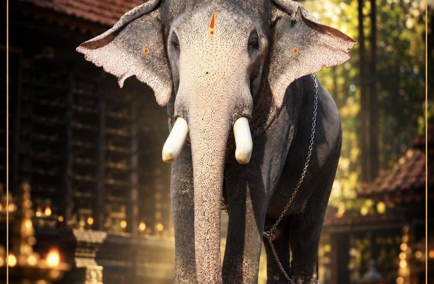 ഇടിമിന്നലേറ്റ ആന ചരിഞ്ഞു.